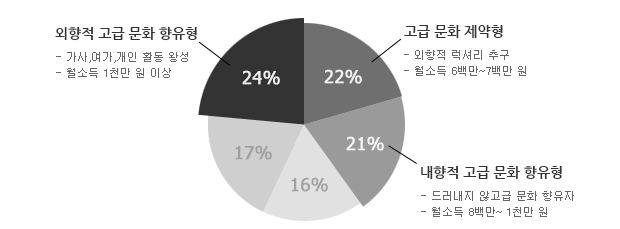 외향적 고급 문화 향유형(가서, 여가, 개인활동 왕성 / 월소득 1천만 원 이상) 24%, 고급 문화 제약형(외향적 럭셔리 추구 / 월소득 6백만~7백만 원) 22%, 내향적 고급 문화 향유형(드러내지 않는 고급 문화 향유자 / 월소득 8백만 ~ 1천만 원 ) 21%, 그 외 유형 17%, 16%