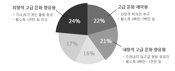 외향적 고급 문화 향유형(가서, 여가, 개인활동 왕성 / 월소득 1천만 원 이상) 24%, 고급 문화 제약형(외향적 럭셔리 추구 / 월소득 6백만~7백만 원) 22%, 내향적 고급 문화 향유형(드러내지 않는 고급 문화 향유자 / 월소득 8백만 ~ 1천만 원 ) 21%, 그 외 유형 17%, 16%